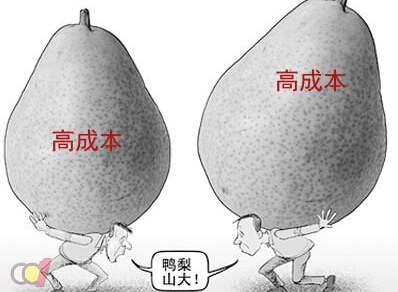 济南网络公司