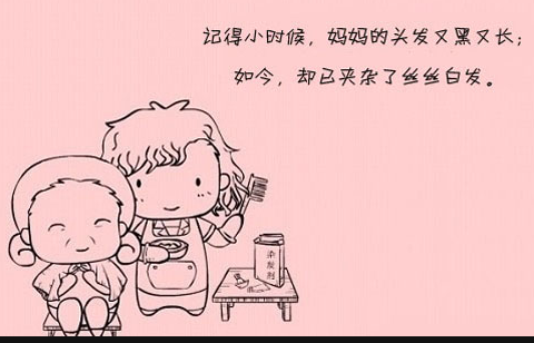 济南网络公司