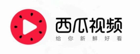 济南网络公司