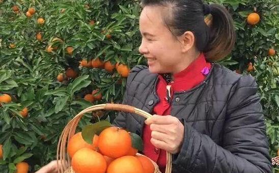 济南网络公司