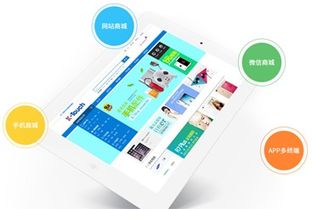 济南网络托管公司